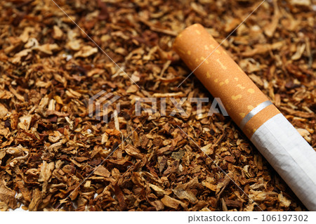 Concept of addiction to smoking, tobacco and cigarette. 106197302