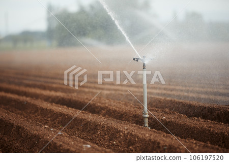 Irrigation equipment spraying water on dry filed. 106197520