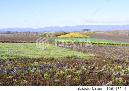美瑛在一個陽光明媚的秋天早晨 106197544