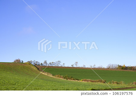 美瑛在一個陽光明媚的秋天早晨 106197576