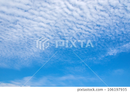 [秋天的天空]沙丁魚雲、鱗片雲 106197935