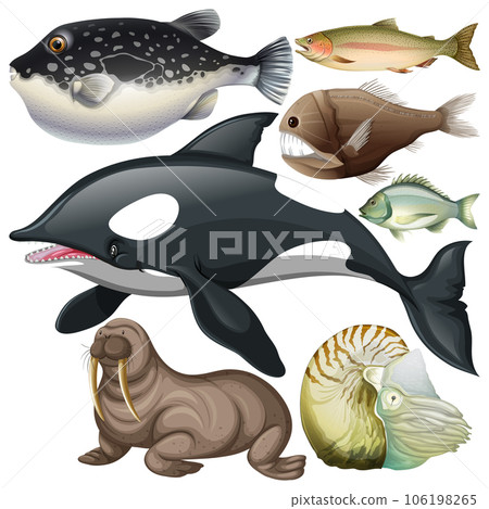 Underwater Creature Vector Set 106198265