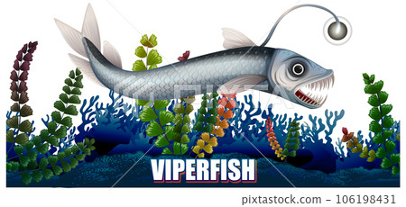 Viperfish Deep Sea Creature 106198431