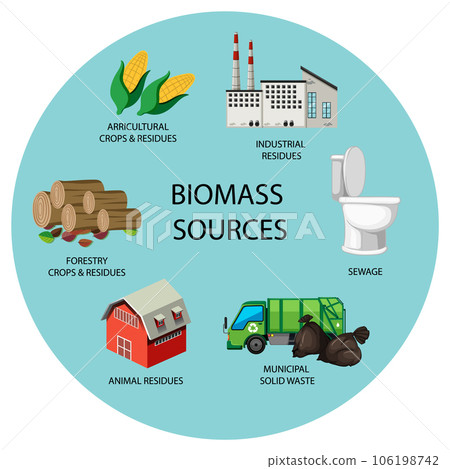 The Many Forms of Biomass Energy 106198742