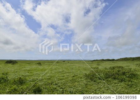 [Hokkaido Toyotomi Town] Sarobetsu Wilderness 106199398