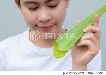 Asian woman cut Aloe Vera leaf for use gel as a quick moisturiser for her skin. Aloe vera are used to manufacture commercial products to make topical medications for skin conditions. Asian woman cut Aloe Vera leaf for use gel as a quick moisturiser for her skin. Aloe vera are used to manufacture commercial products to make topical medications for skin conditions. 106199584