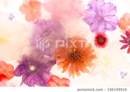 Background of frozen flowers in ice Background of frozen flowers in ice 106199916