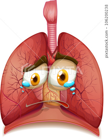 Human lungs with face expression 106200238