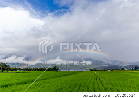 稻田上的彩虹【山梨縣南阿爾卑斯市】 106200524