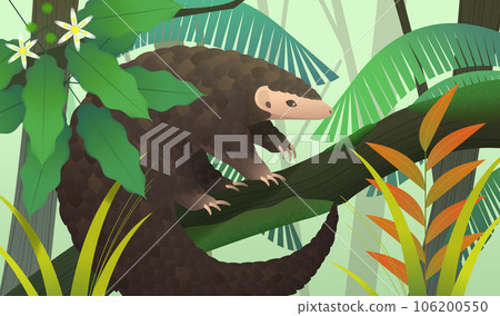 Cute pangolin on tree trunk Cute pangolin on tree trunk 106200550