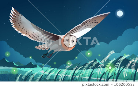 Grass owl flying across night sky 106200552