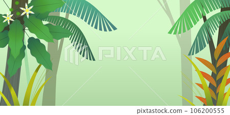 Misty rain forest background 106200555