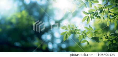 Beautiful green panorama background with sunlight filtering through trees: AI work 106200589
