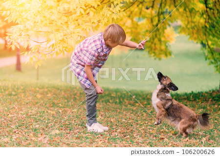 Cute boy playing and walking with his dog in a meadow. 106200626
