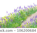 薰衣草盛開的小路插畫 106200684