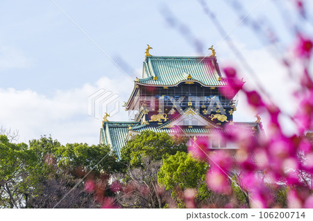 Osaka Castle tower seen from the plum grove of Osaka Castle Plum blossoms in full bloom 106200714