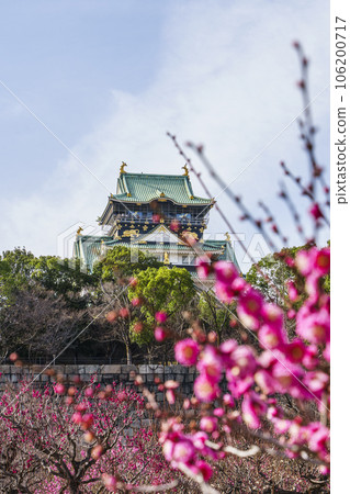 Osaka Castle tower seen from the plum grove of Osaka Castle Plum blossoms in full bloom Osaka Castle tower seen from the plum grove of Osaka Castle Plum blossoms in full bloom 106200717