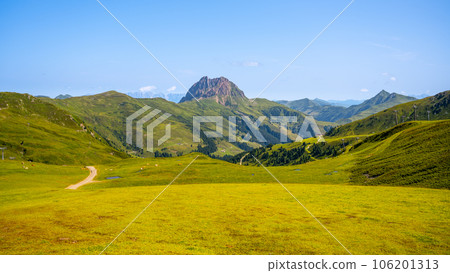 Grosser Rettenstein Mountain with green landscape of Kitzbueheler Alps, Austria Grosser Rettenstein Mountain with green landscape of Kitzbueheler Alps, Austria 106201313