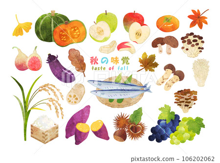 手繪水彩秋味插畫集 106202062