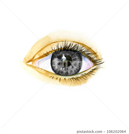 Watercolor artwork of eye. Hand drawn illustration 106202064