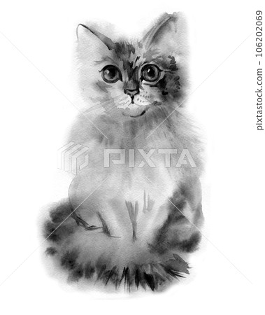 Watercolour gray fluffy cat portrait. Hand drawn illustration 106202069