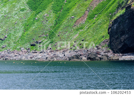 Shiretoko Peninsula cruise 106202453