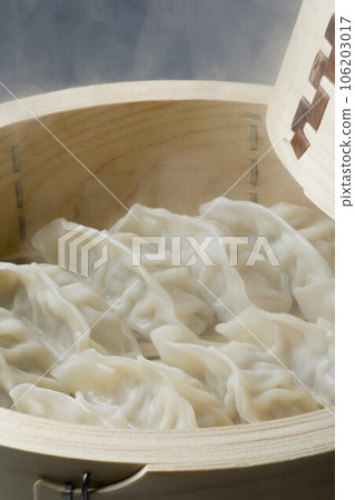 Steamed gyoza Steamed gyoza 106203017