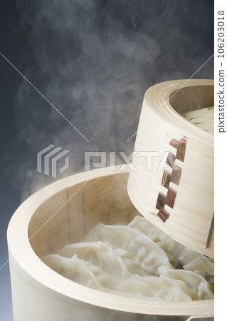 Steamed gyoza 106203018