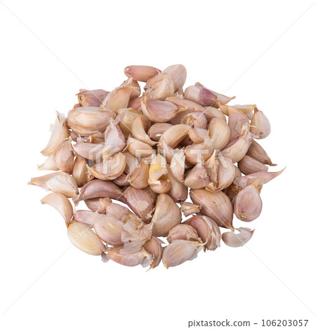 Garlic Group isolated on white background. 106203057