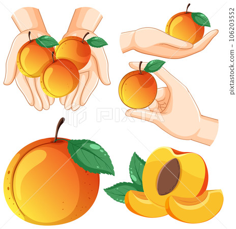 Set of mix peach cartoon Set of mix peach cartoon 106203552