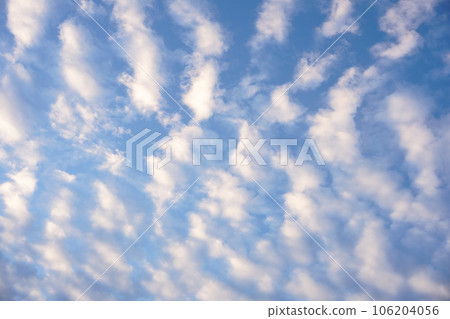 秋天早晨的鯖魚雲 106204056