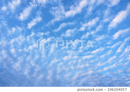 秋天早晨的鯖魚雲 秋天早晨的鯖魚雲 106204057