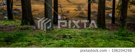 River Kamp And Mossy River Bank In Lower Austria (Waldviertel) In Austria 106204298