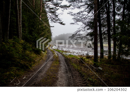 Abandoned Conifer Forest With Narrow Gravel Road In Lower Austria (Waldviertel) In Austria Abandoned Conifer Forest With Narrow Gravel Road In Lower Austria (Waldviertel) In Austria 106204302