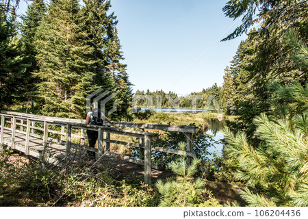Girl hiking in the Forest near lake in La Mauricie National Park Quebec, Canada on a beautiful day 106204436