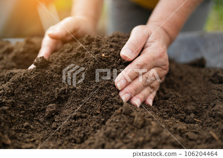 Woman hands touching soil on the field. Expert hand of farmer checking soil health before growth a seed of vegetable or plant seedling. Business or ecology concept. 106204464