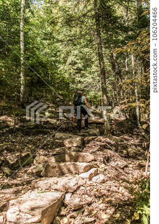 Girl hiking in the Forest near lake in La Mauricie National Park Quebec, Canada on a beautiful day 106204466