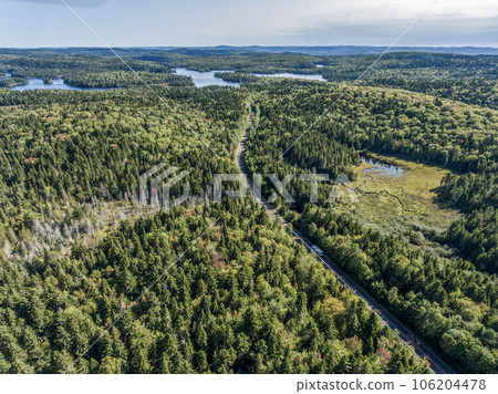 View on the Forest near lake in La Mauricie National Park Quebec, Canada on a beautiful day View on the Forest near lake in La Mauricie National Park Quebec, Canada on a beautiful day 106204478