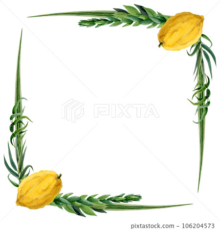 Sukkot square frame watercolor illustration isolated on white background with etrog, four species for Jewish holiday greeting cards Sukkot square frame watercolor illustration isolated on white background with etrog, four species for Jewish holiday greeting cards 106204573
