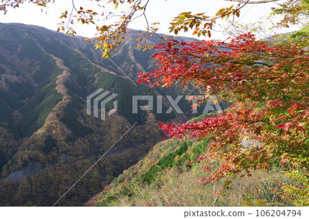 Omine, Nara Prefecture, Namego Valley with autumn colors 106204794