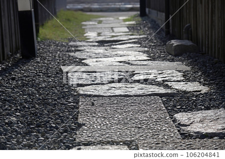Cobbled street 106204841