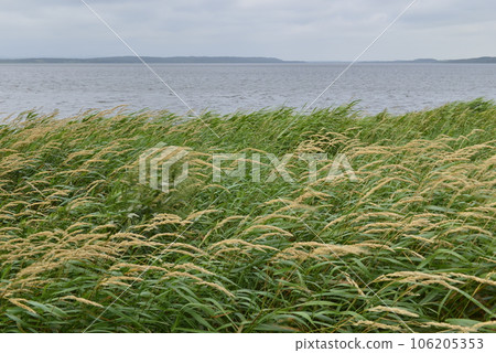 【北海道濱別町】俱照呂湖湖畔風景 106205353