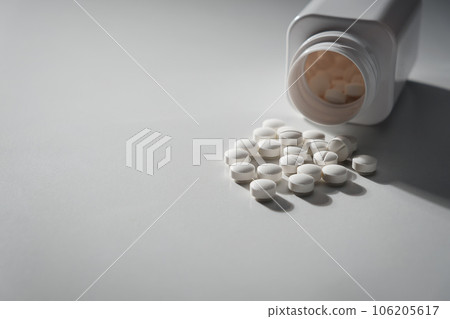 Supplement 106205617