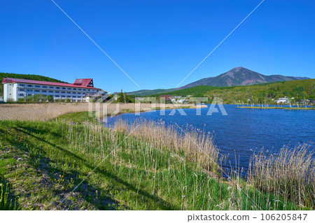 長野縣白樺湖西側的春天景色 106205847