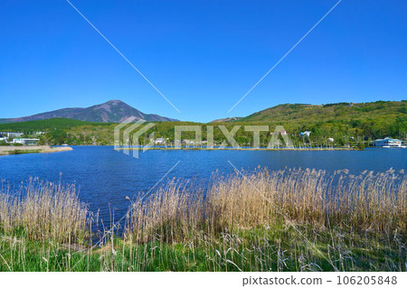 長野縣白樺湖西側的春天景色 106205848