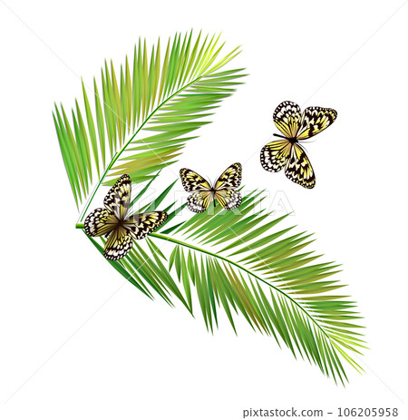 Palm leaves with butterflies. Vector illustration Palm leaves with butterflies. Vector illustration 106205958