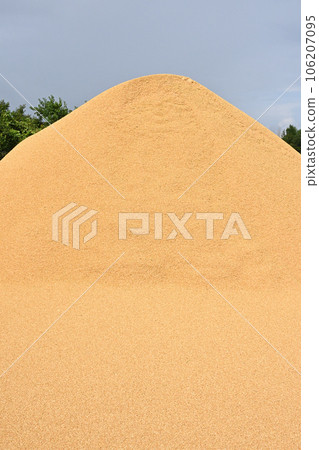 Pile of threshed rice husks Pile of threshed rice husks 106207095