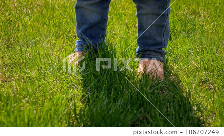 Closeup of little baby s feet in jeans standing on green grass lawn. Kids outdoors, children in nature, baby playing outside. 106207249