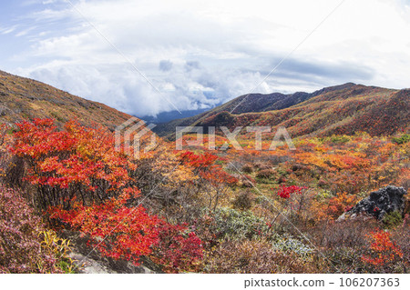 Mt. Nasudake (Mt. Chausu) in autumn Mountain range with colored leaves [Nasushiobara City, Tochigi Prefecture] 106207363