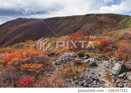 Mt. Nasudake (Mt. Chausu) ridgeline with autumn leaves [Nasushiobara City, Tochigi Prefecture] 106207381